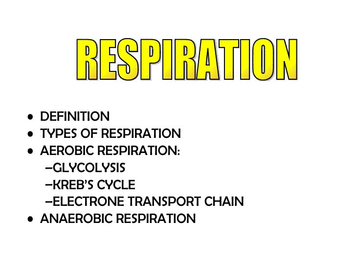 definition of respiration in urdu
