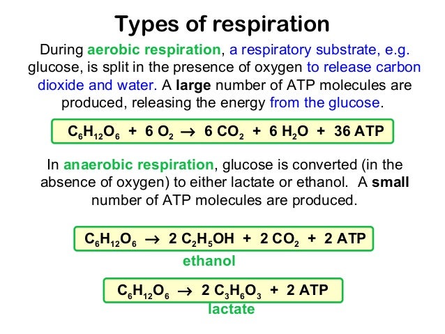 Chemical Reaction Food - VI Chemical Reaction Food - VI