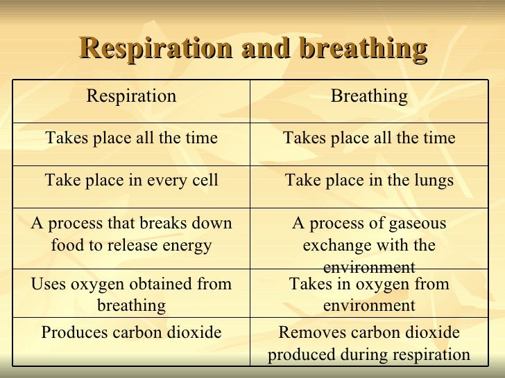Respiration