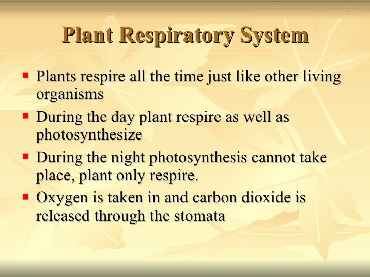 Respiration