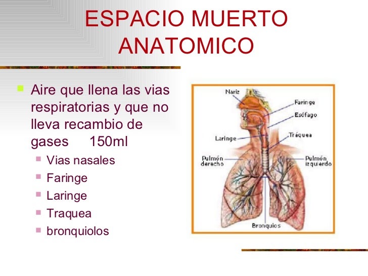 Respiratorio I