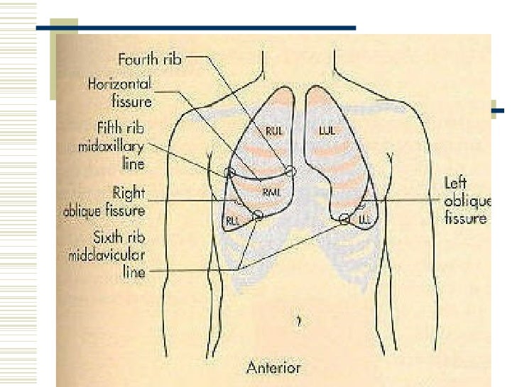 Respiratory assessment