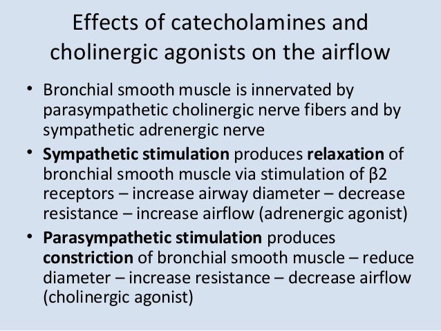 respiratory physiology on airway resistance cholinergic agonist