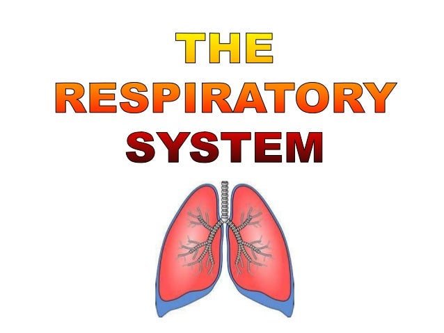 Respiratory System cardio-voyage-carte-plan