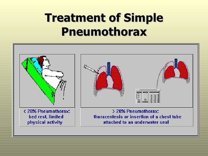 Respiratory System (2)