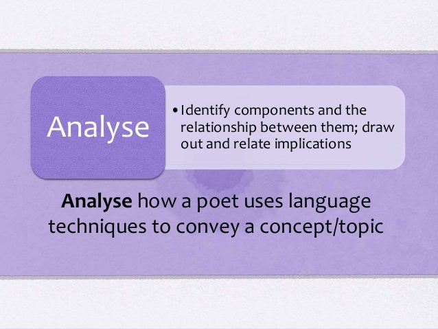 Main components of essay questions