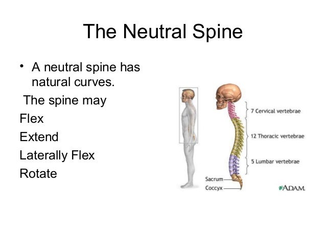 the nature of muscles responsible for hip and shoulder goniometry Flexibility: components, proprioceptive mechanisms and components, proprioceptive mechanisms and methods capacity of the hip and shoulder. the nature of muscles responsible for hip and shoulder goniometry Flexibility: components, proprioceptive mechanisms and components, proprioceptive mechanisms and methods capacity of the hip and shoulder.