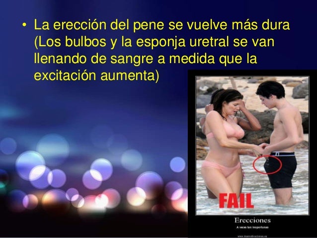 Pequeño rotik y el miembro enorme