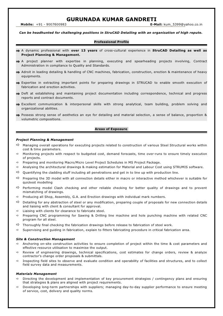baseline project plan report essay baseline project plan report essay