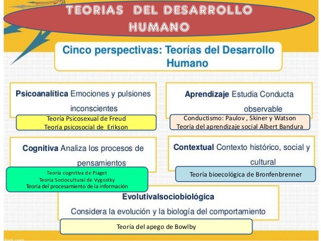 Resumen de las teorias del desarrollo humano 2016