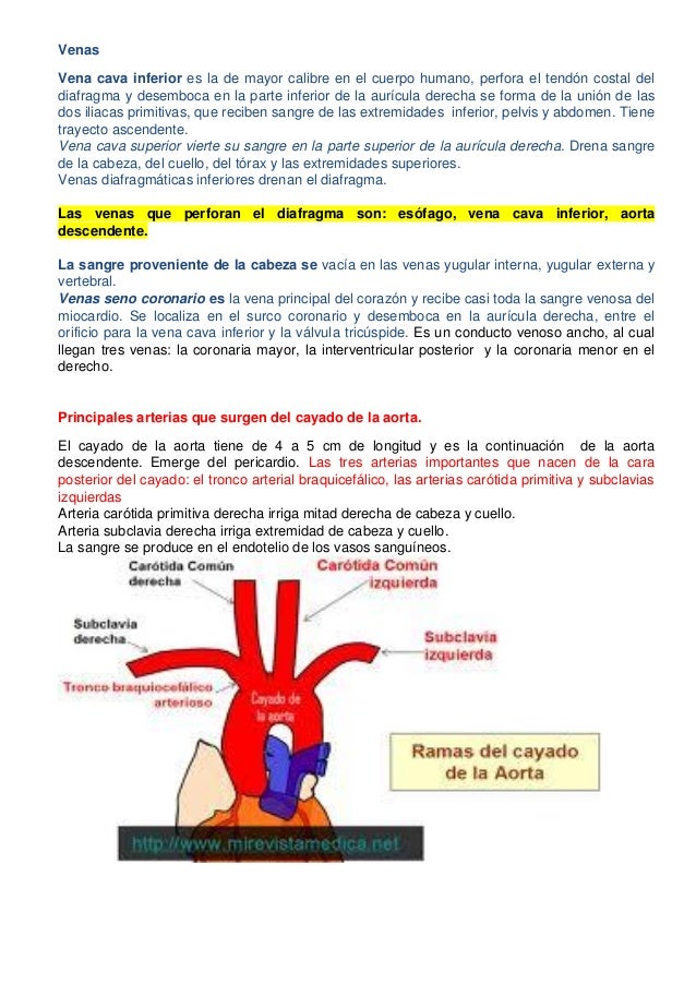 Los dolores en lo bajo del vientre y los riñones de la causa
