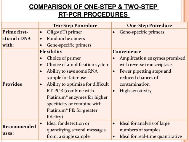 reverse transcriptase