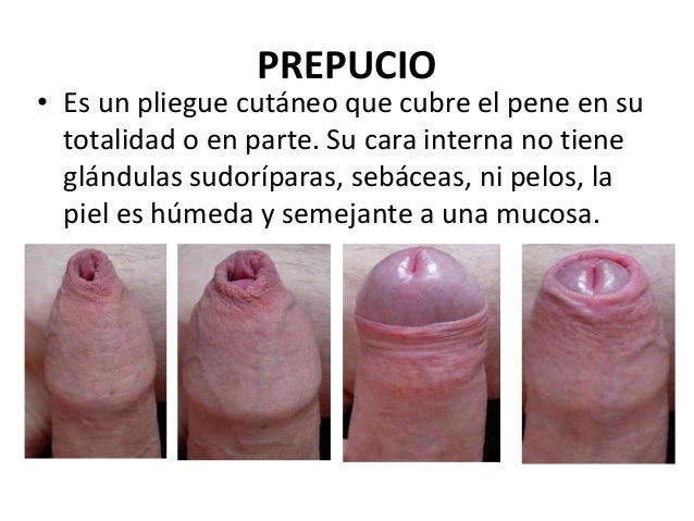 Que medio eficaz por el aumento del miembro viril