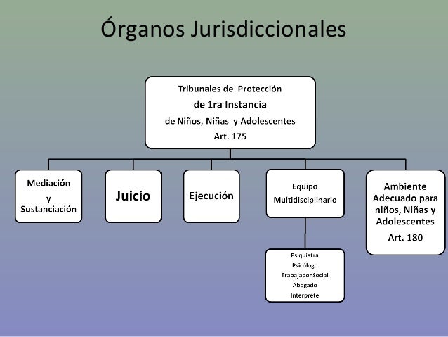 Organos jurisdiccionales LOPNNA