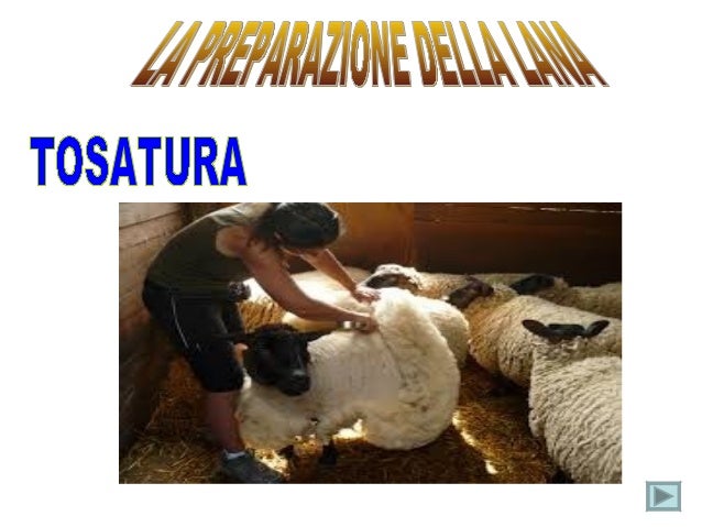 Quello che influenza prodotti di potenzialità