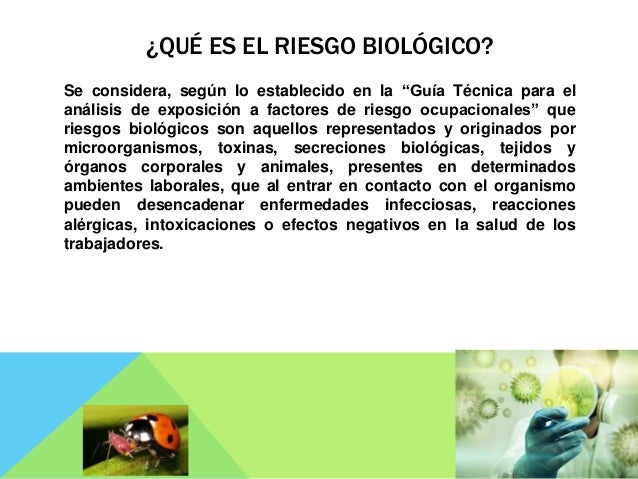 Que se distingue enterobioz del huevo la lombriz