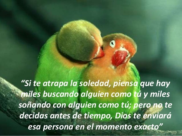 Resultado de imagen de miles de frases con imagenes