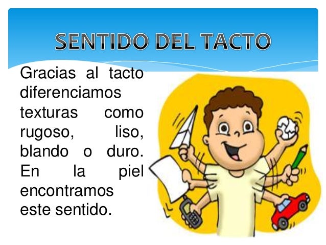 Sentido Del Tacto Para Niños Para Colorear Los Cinco Sentidos Gusto