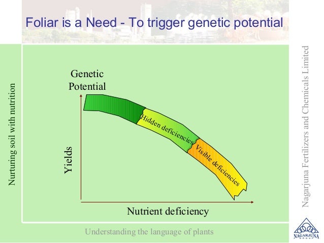 Foliar is a Need - To trigger genetic potential                                                                           ...