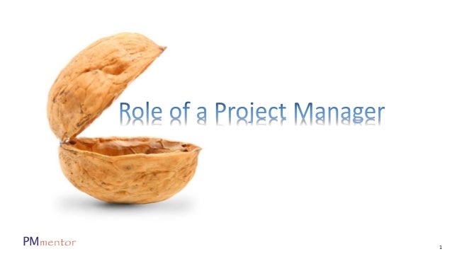 role of project manager role of project manager