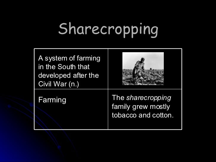 essay sharecropping essay sharecropping