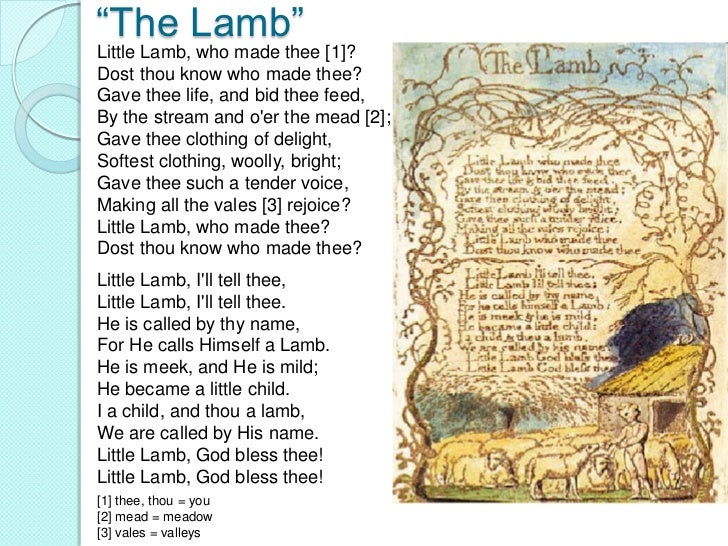 essay william blake tyger lamb essay william blake tyger lamb