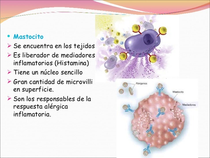 Celulas del Sistema Inmune