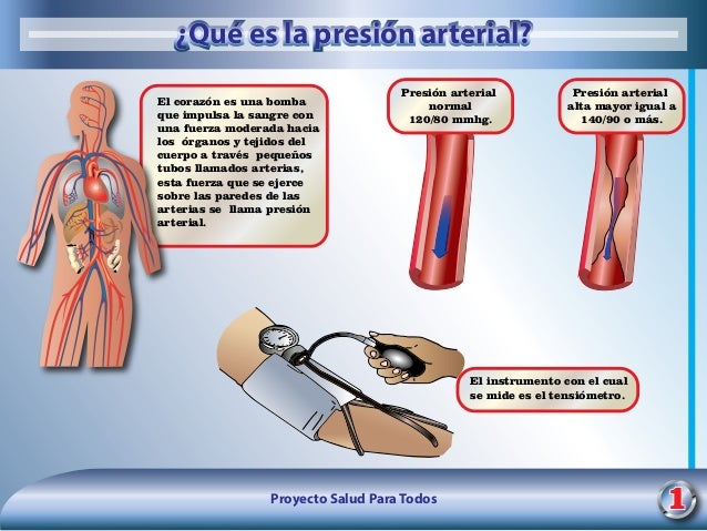 Rotafolio previniendo la diabetes Rotafolio previniendo la diabetes