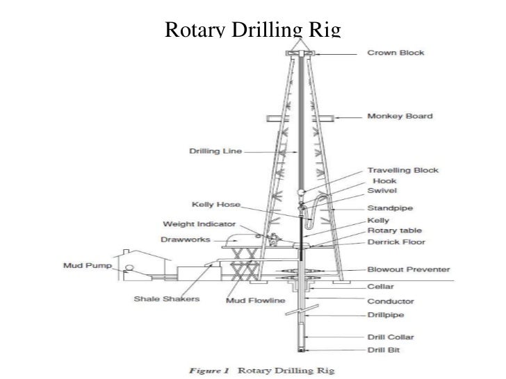Rotary drilling rig