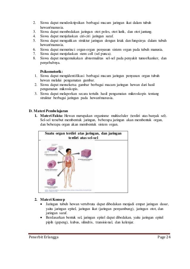Rpp Biologi Kls Xi | rpp biologi kls xi Rpp Biologi Kls Xi | rpp biologi kls xi