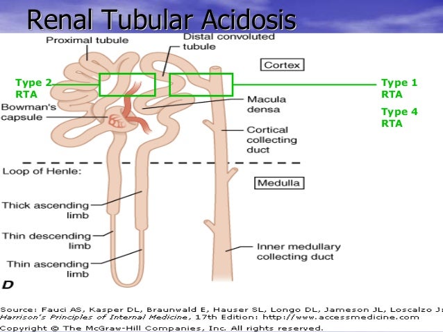 RENAL TUBULAR ACIDOSIS