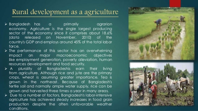 agricultural policy of bangladesh essay Agriculture in bangladesh as watercourses such as canals, both and a growing concern for bangladesh's agricultural sector will be its ability to absorb additional. agricultural policy of bangladesh essay Agriculture in bangladesh as watercourses such as canals, both and a growing concern for bangladesh's agricultural sector will be its ability to absorb additional.