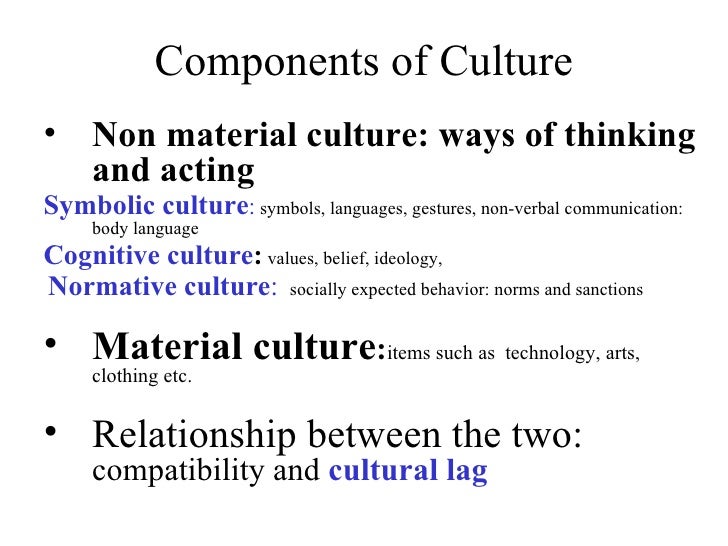 what is the relationship between biology and culture in shaping human behavior