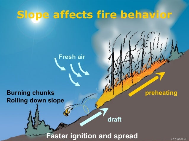 This Wildland Fire On Maunakea'S East Slope Is Unlike Anything You'Ve Seen - hxa1mgo