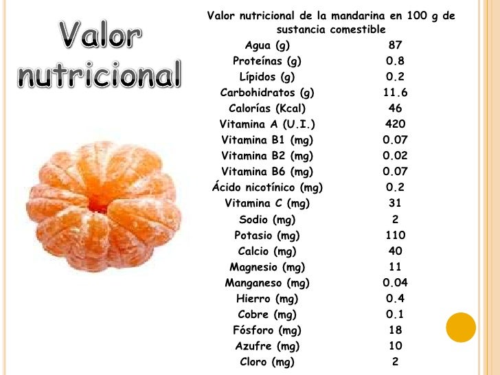 S3 D 09 Presentacion La Mandarina