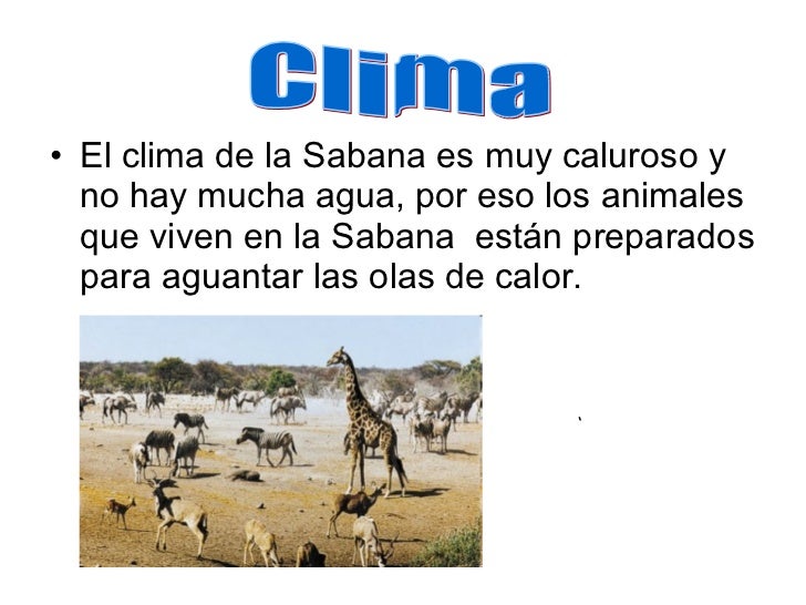 Cuanto Estan Cobrando Las Empleadas Domesticas Por Hora | cuanto estan cobrando las empleadas de limpieza cuanto Cuanto Estan Cobrando Las Empleadas Domesticas Por Hora | cuanto estan cobrando las empleadas de limpieza cuanto