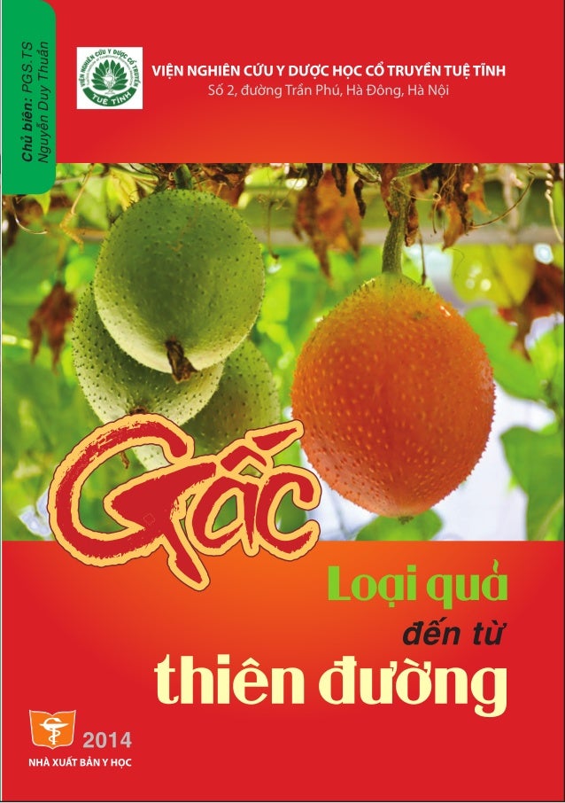 Gấc - loại quả đến từ thiên đường