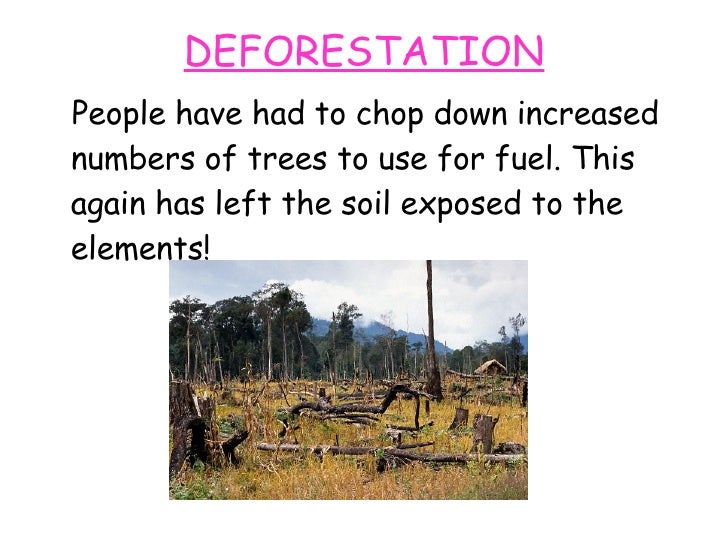 deforestation case study gcse deforestation case study gcse