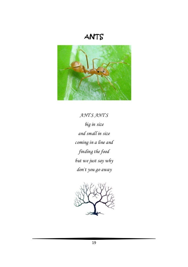Nature - Sai Magh Reddy Poetry