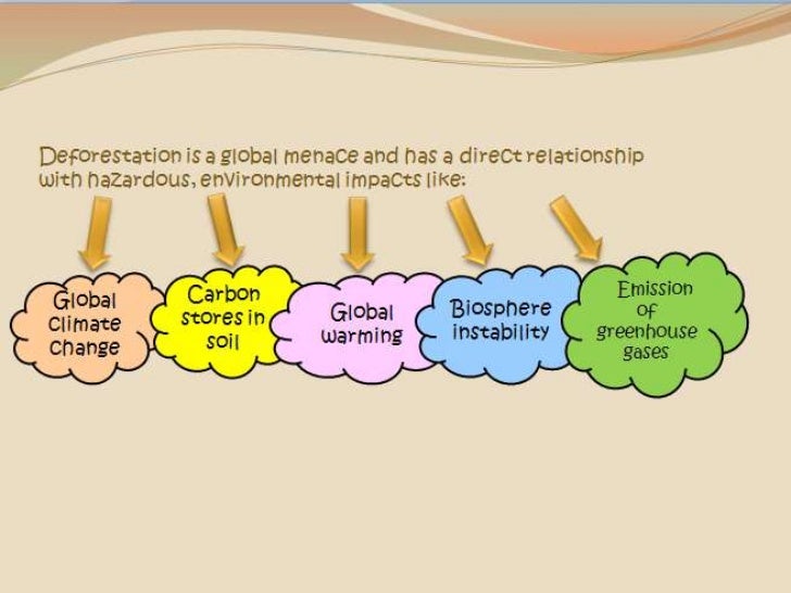 rainforest essay introduction rainforest essay introduction