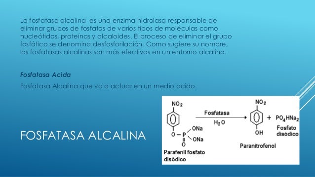 Bioquimica Saliva