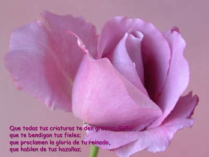 Resultado de imagen para El Señor es fiel a sus palabras Que todas tus criaturas te den gracias