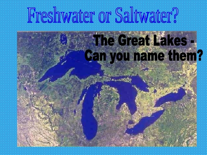 Saltwater vs. Freshwater