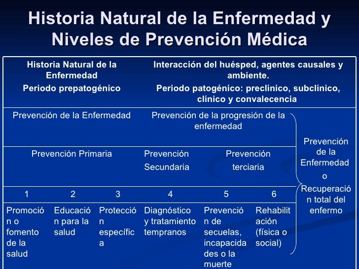 etapas salud y enfermedad etapas salud y enfermedad