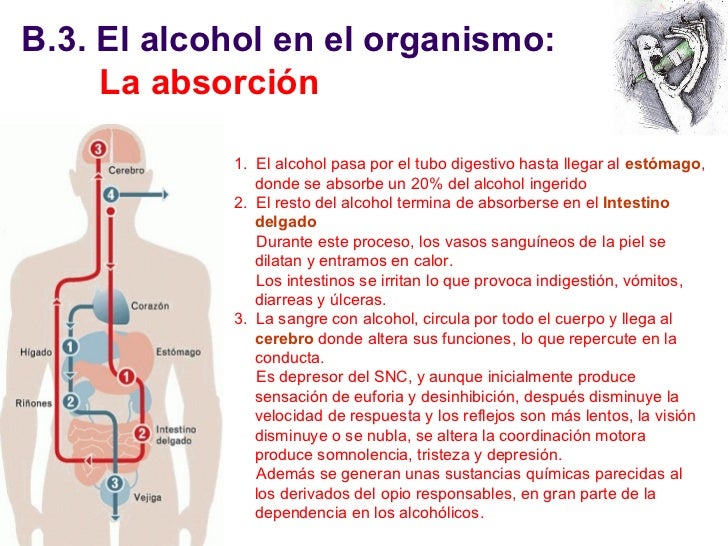 Salud y Enfermedad I
