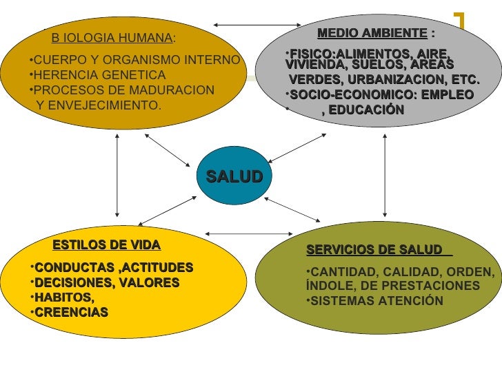 Salud publica