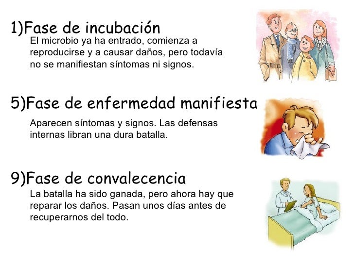 TEMA 5 SALUD Y ENFERMEDAD