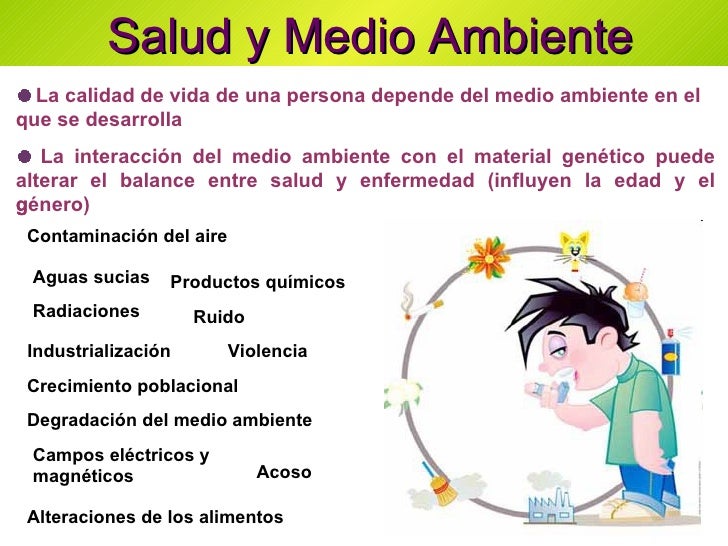 La grasa en el vientre como librarse al hombre