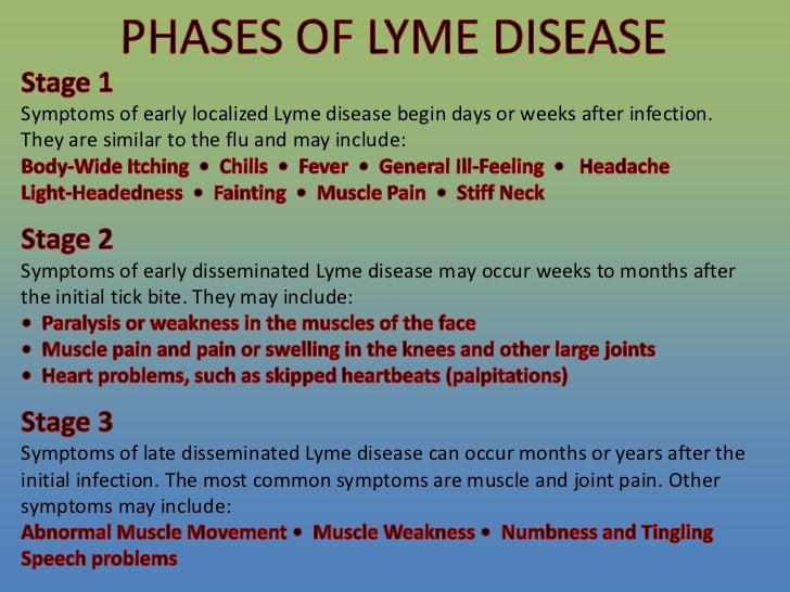 Can You Get Lyme Disease From Your Dog Can You Get Lyme Disease From Your Dog