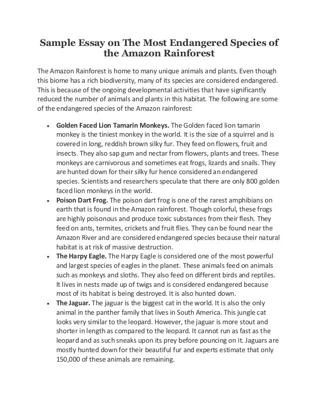 amazon rainforest essay conclusion